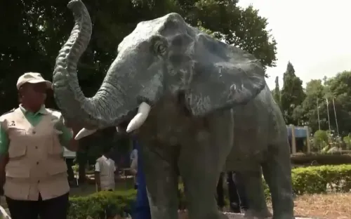 Độc đáo tác phẩm điêu khắc làm từ ngà voi và vảy tê tê