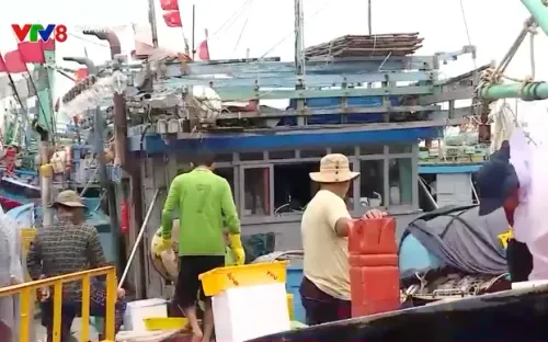 Bình Định quyết liệt xử lý tàu cá "3 không"