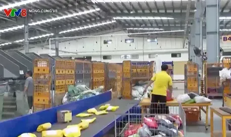 Xử lý trốn thuế kinh doanh online