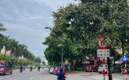 Biển báo giao thông “lấp ló” làm khó người đi đường