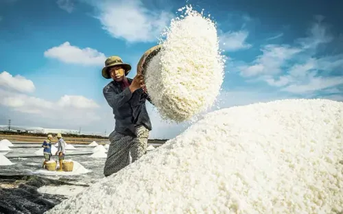 Bạc Liêu định hướng phát triển du lịch gắn với sản xuất nông nghiệp