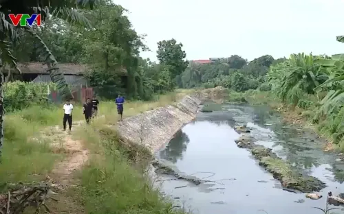 Hà Nội: Hàng loạt trang trại xả thải bức tử dòng sông Hát