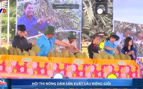 Hội thi nông dân sản xuất sầu riêng giỏi