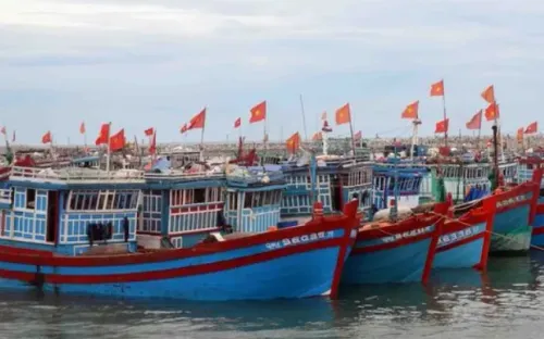 VIDEO: Cách neo đậu tàu, thuyền tránh trú bão