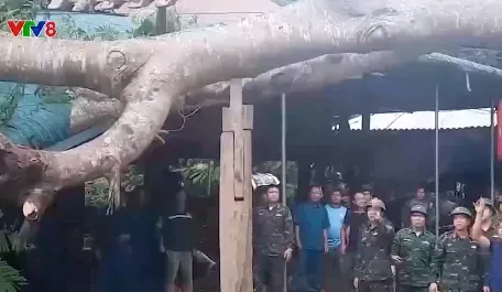 Quân khu 4 giúp dân khắc phục hậu quả lốc xoáy