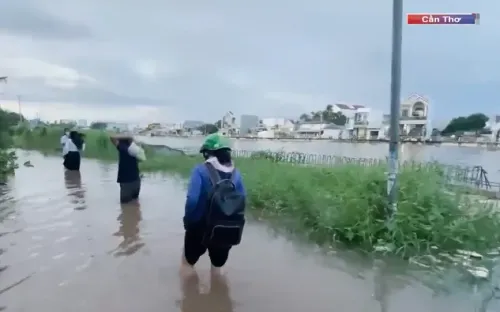 Dự án kè Rạch Cái Sơn bị bỏ hoang