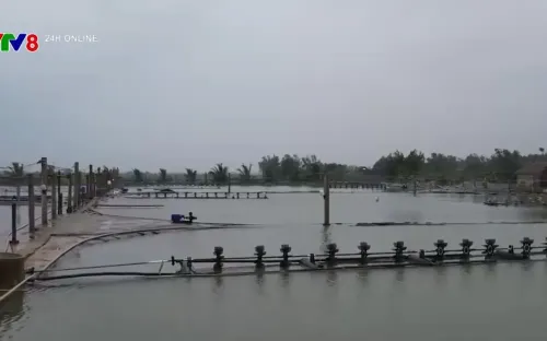 "Trắng tay" sau mưa lũ