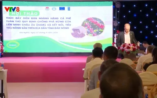 Đắk Nông thúc đẩy ngành hàng cà phê tuân thủ quy định chống phá rừng của EU