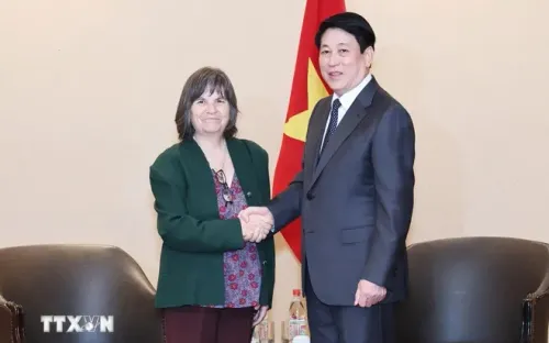 Chủ tịch nước Lương Cường tiếp đoàn Viện Văn hoá Hữu nghị Chile - Việt Nam