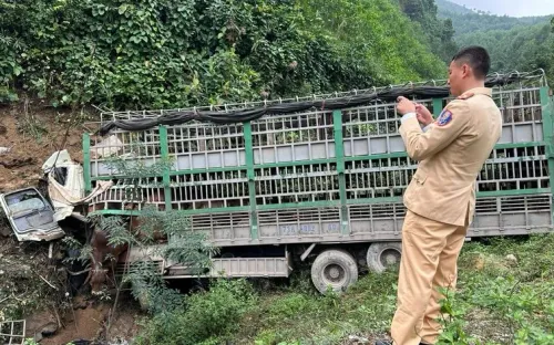 Xe chở bò lao xuống vực, một người tử vong trong cabin