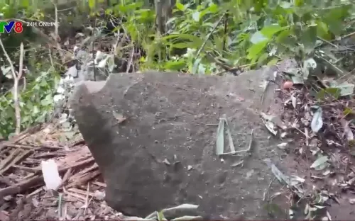 Đá lăn do động đất, người dân thoát nạn nhờ rừng che chở