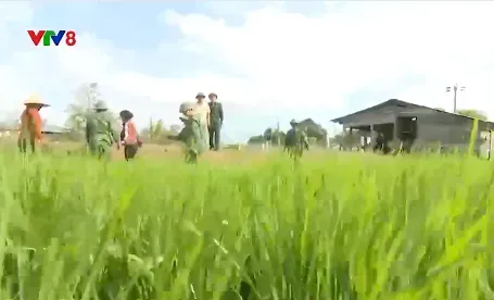 Chư Prông phát huy vai trò của quần chúng trong bảo vệ biên giới