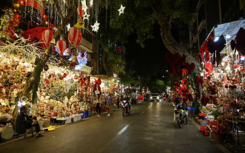 Thông tươi tiền triệu hút khách mùa Noel