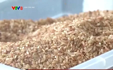 Quảng Ngãi phát triển sản phẩm OCOP