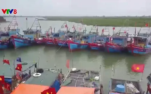 Hà Tĩnh nỗ lực xóa tàu cá "3 không"