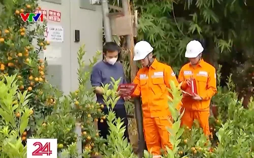 Ngăn chặn tình trạng vi phạm hành lang an toàn lưới điện trong dịp Tết