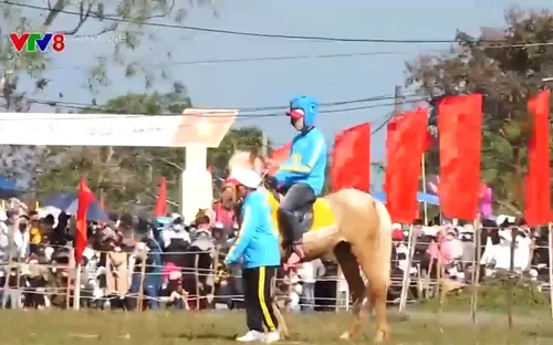 Hội đua ngựa truyền thống Gò Thì Thùng