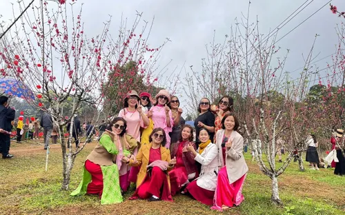 Bình Định:Rộn ràng Ngày hội hoa Đào đầu Xuân