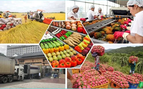 Đa dạng thị trường xuất khẩu nông sản Việt