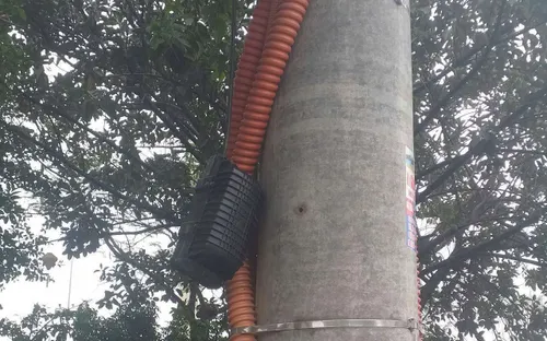 Công ty Điện lực tỉnh Ninh Bình cắt cáp của SCTV, gây gián đoạn dịch vụ trên diện rộng