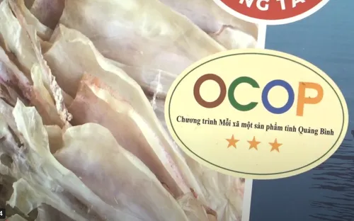 Phát triển sản phẩm OCOP bền vững