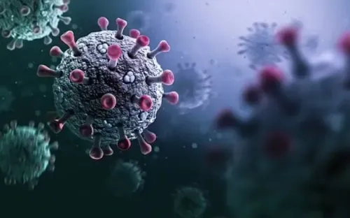 Chủng virus corona mới phát hiện có nguy cơ lây lan mạnh như COVID-19?