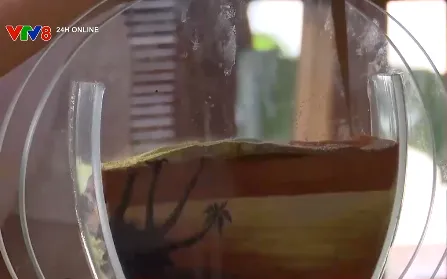 Biến cát vô tri thành tranh sống động