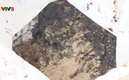 Xử lý hàng chục tấn dầu vón cục trôi dạt vào vịnh Lăng Cô