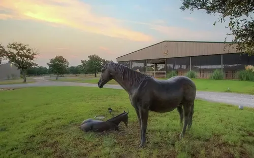 Các trang trại Mỹ gặp nhiều khó khăn khi không còn trợ cấp