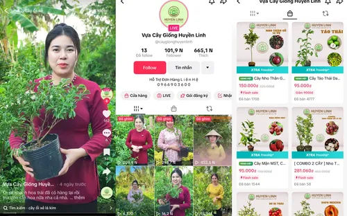 Hơn 5.600 sản phẩm OCOP được bán trên nền tảng TikTok Shop