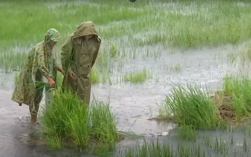 Bất an vì thời tiết bất thường