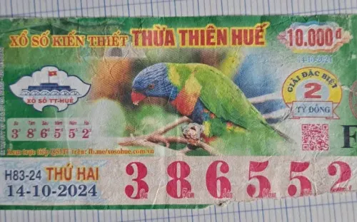 Tạm hoãn phiên hoà giải vụ kiện vé số trúng giải đặc biệt bị rách