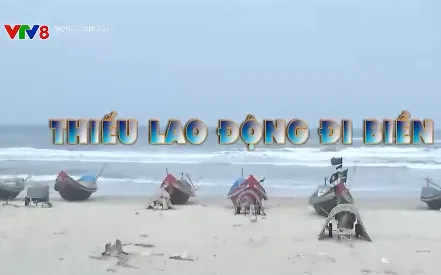 Thiếu lao động đi biển, tàu cá "nằm bờ"