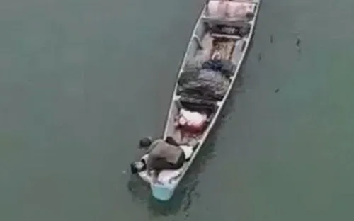 Quảng Trị: Kịp thời cứu sống một phụ nữ nhảy cầu trong ngày 8/3