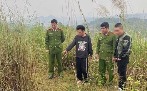 Bé gái 10 tuổi bị người đàn ông lạ mặt khống chế đưa vào bãi đất trống xâm hại