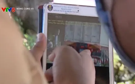 Bình Định tăng cường xử lý vi phạm qua hệ thống camera giám sát