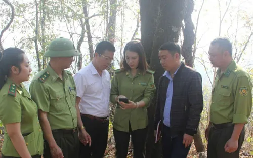 "Báo động đỏ" nguy cơ cháy rừng mùa khô tại Thuận Châu (Sơn La)