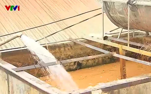 Hàng nghìn hộ dân ở xã đảo Minh Châu chưa có nước sạch, phải dùng nước ô nhiễm