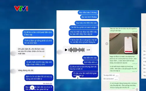 Nhiều người Việt ở nước ngoài ''sập bẫy'' lừa đảo làm visa