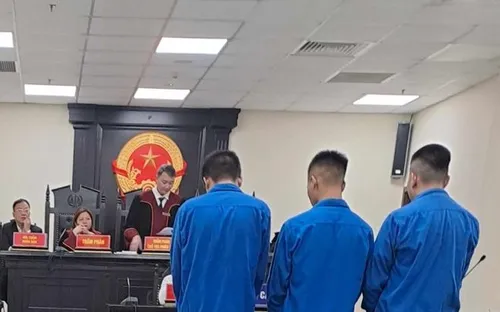 Bản án nghiêm khắc cho nhóm đối tượng lừa gạt người đồng tính để cướp tài sản