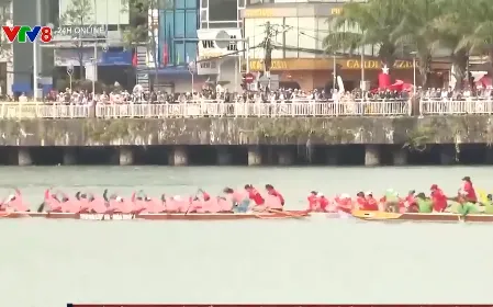 Giải đua thuyền truyền thống TP. Đà Nẵng mở rộng năm 2025