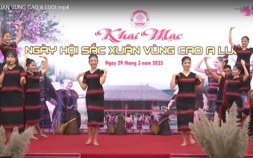 Ấn tượng sắc xuân vùng cao A Lưới