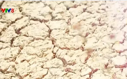 Tây Nguyên đối mặt với khô hạn