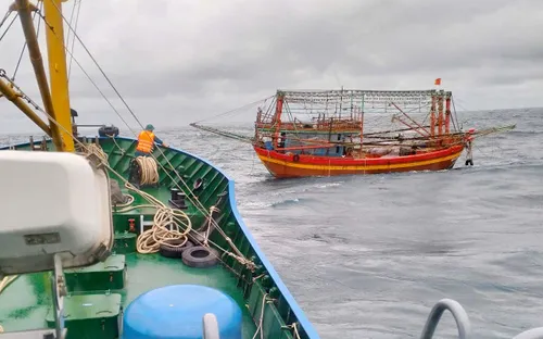 Hải quân bàn giao tàu cá và ngư dân Quảng Bình gặp nạn trên biển