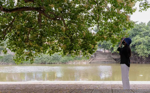 Mùa hoa bún khoe sắc bên dòng Kiến Giang