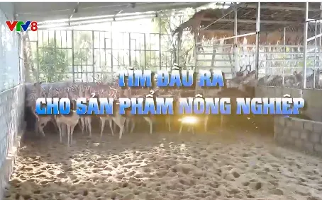 Xúc tiến đưa sản phẩm nhung hươu ra nước ngoài