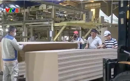 Doanh nghiệp gỗ xuất khẩu tìm hướng đi