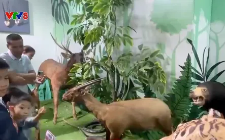 Bảo tàng thiên nhiên Duyên hải Miền Trung thu hút du khách