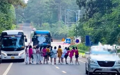 Nhóm nữ du khách dàn hàng ngang trên đường ở Măng Đen để chụp ảnh