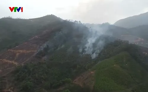 Cơ bản khống chế 2 vụ cháy rừng ở Quảng Ninh
